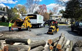 Best Leaf Removal Services  in Menands, NY